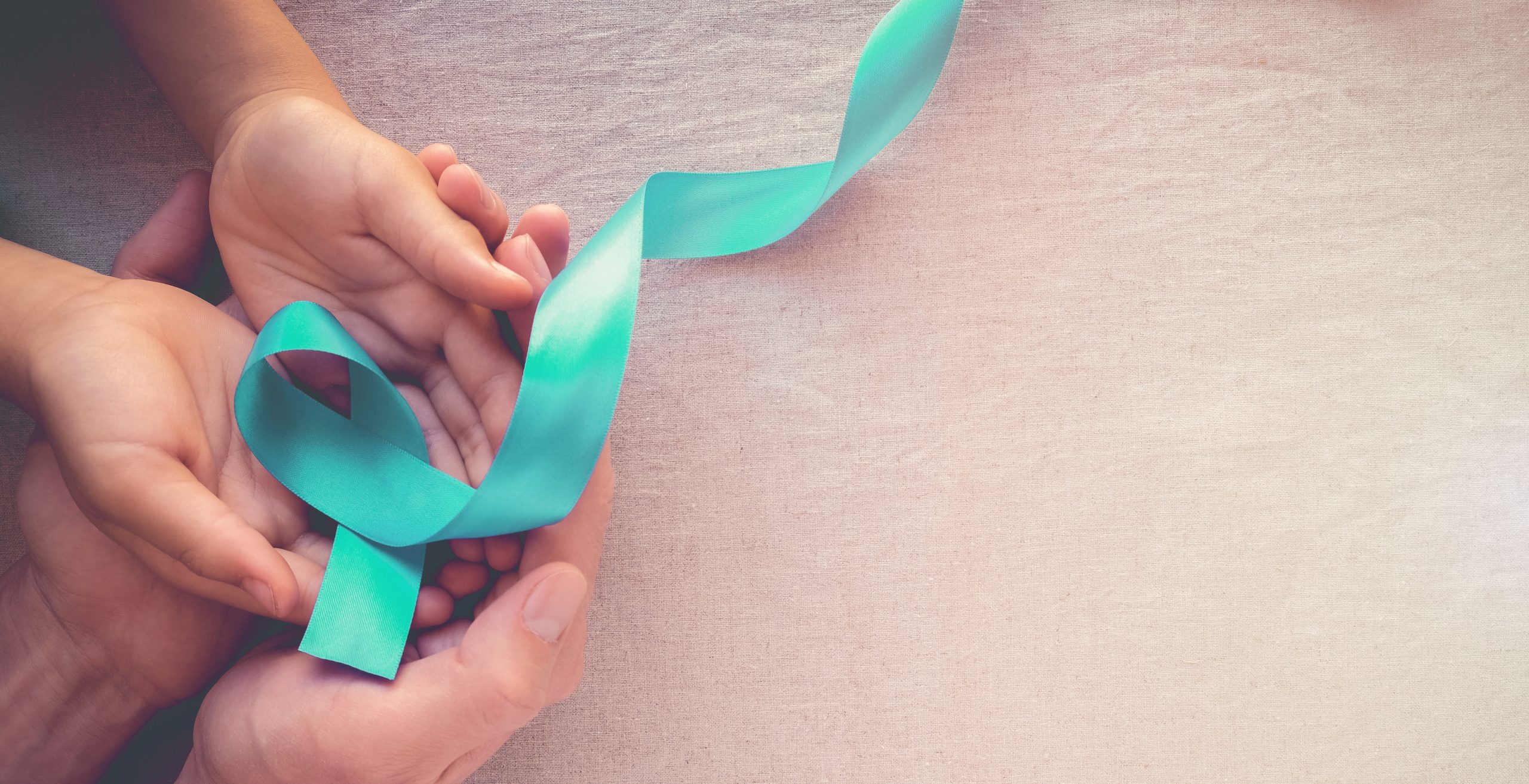 NASASV’s National Standards now live in SPP